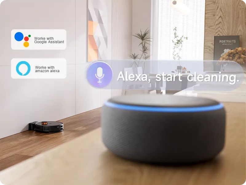 alexa robot