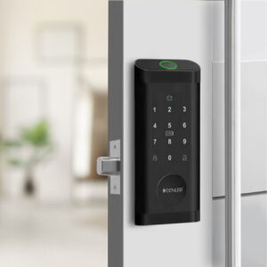 Denler Smart lock